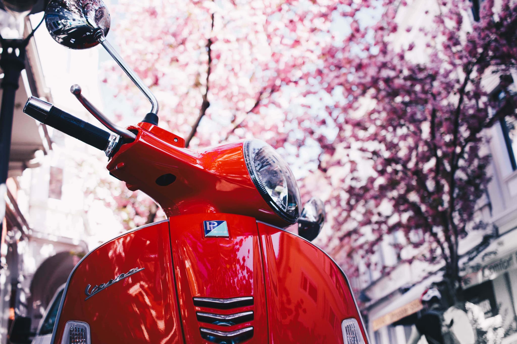 桜の木と原付バイク